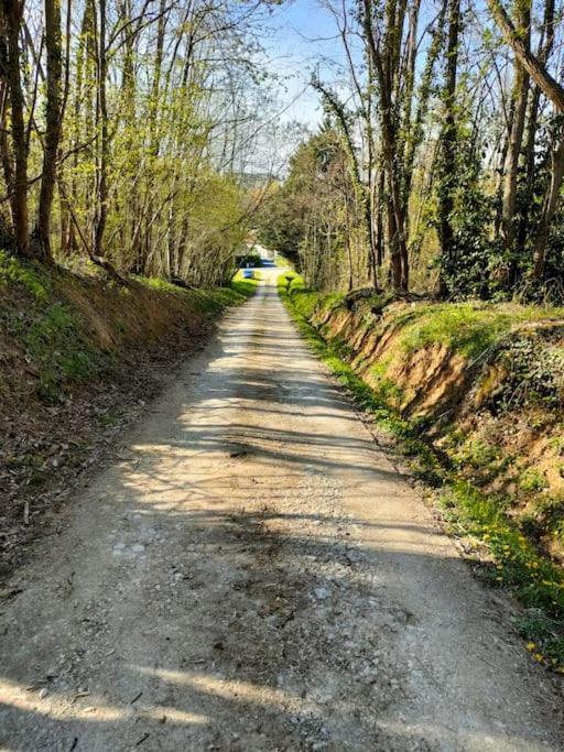 *Gite Aux Grappes Du Pressoir* A 2 Km De Beauval Seigy Екстериор снимка