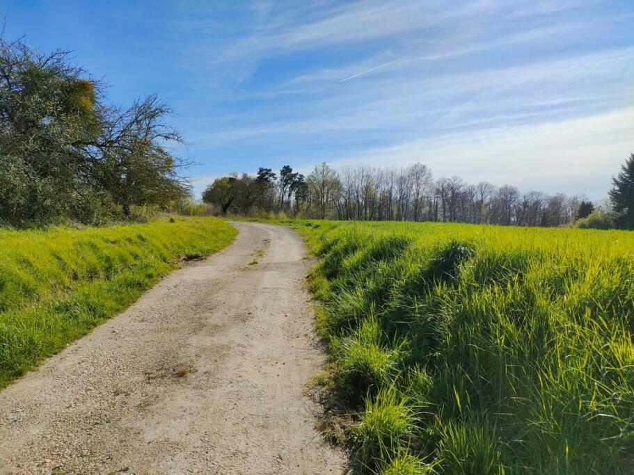 *Gite Aux Grappes Du Pressoir* A 2 Km De Beauval Seigy Екстериор снимка